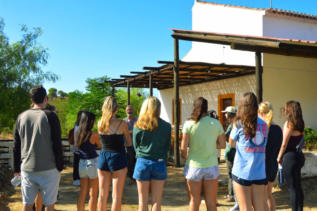 Antonio Coelho teaches students about syntropic farming-1.jpg